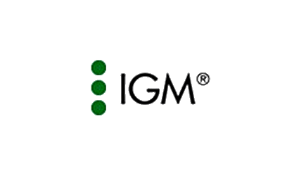 Referenzprojekt IGM