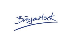 Online Marketing Referenz Bungenstock
